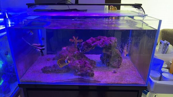 【65,000円相当】水槽 キャビネット セット ※引き取り限定