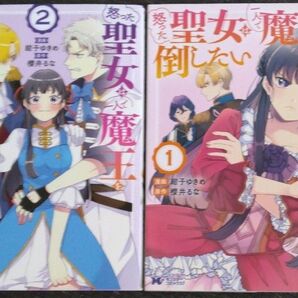 怒った聖女は一人で魔王を倒したい