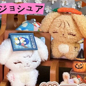 seventeenぬいぐるみ ジョシュアぬい 2体 正規品