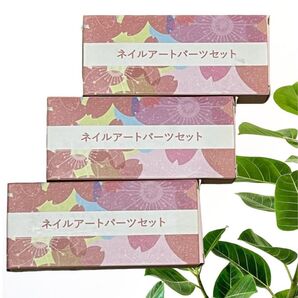 【3箱セット】ネイルアートパーツセット ラメ 蝶 ネイル アイメイク 手帳デコ