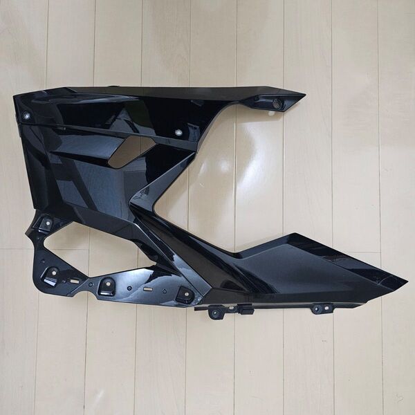 Ninja250 Ninja400 サイドカウル(右)
