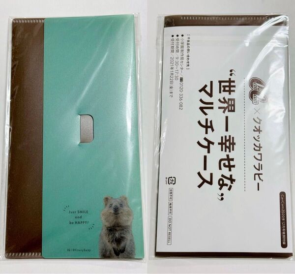 【未使用】 クオッカワラビー クリアファイル マルチケース チケットケース レシート入れ