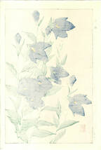 大菅祐一 (Osuga Yuichi) (1939~) 木版画 F179 桔梗 (Bell-flower)　初版昭和中期～京都の一流の摺師の技をご堪能下さい!_画像2