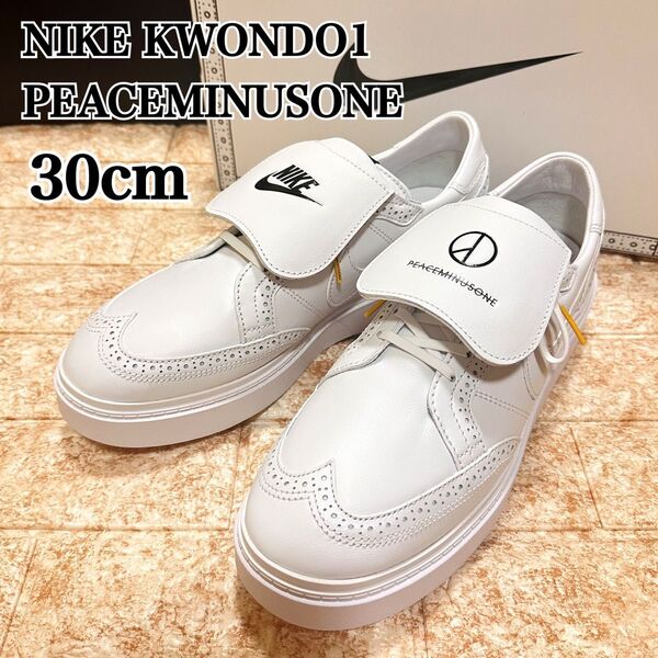 NIKE KWONDO 1 PEACEMINUSONE 30cm ナイキ クウォンド 1 ピースマイナスワン DH2482-100