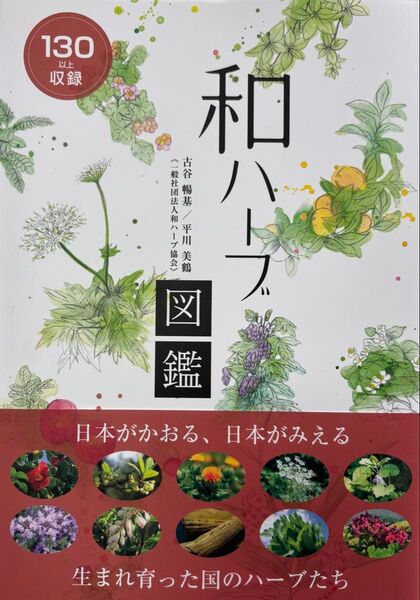 和ハーブ図鑑 古谷暢基/著 平川美鶴/著 和ハーブ協会/編集