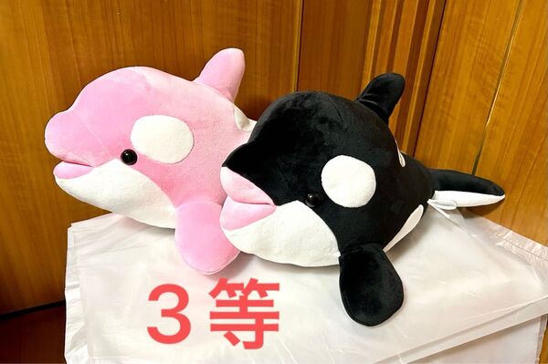 須磨シーワールド オルカくじ 3等