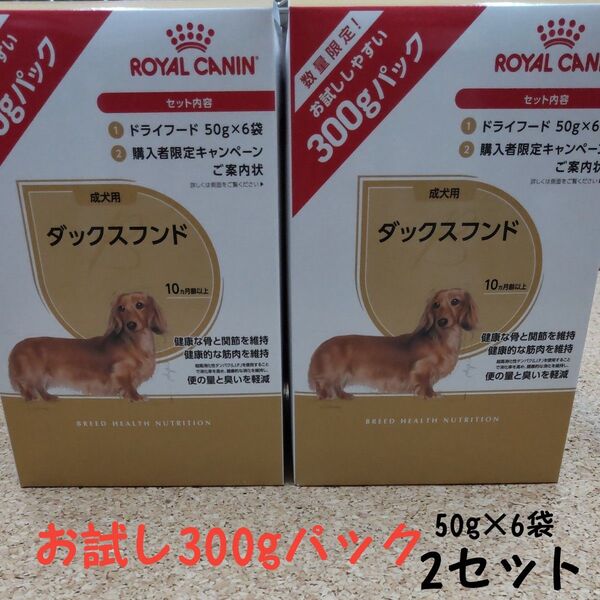 ロイヤルカナン ダックスフンド専用 お試しパック
