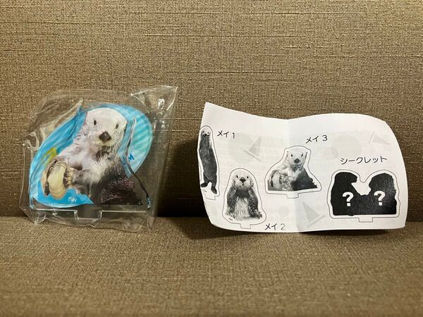 鳥羽水族館 メイ アクリルスタンド ガチャ