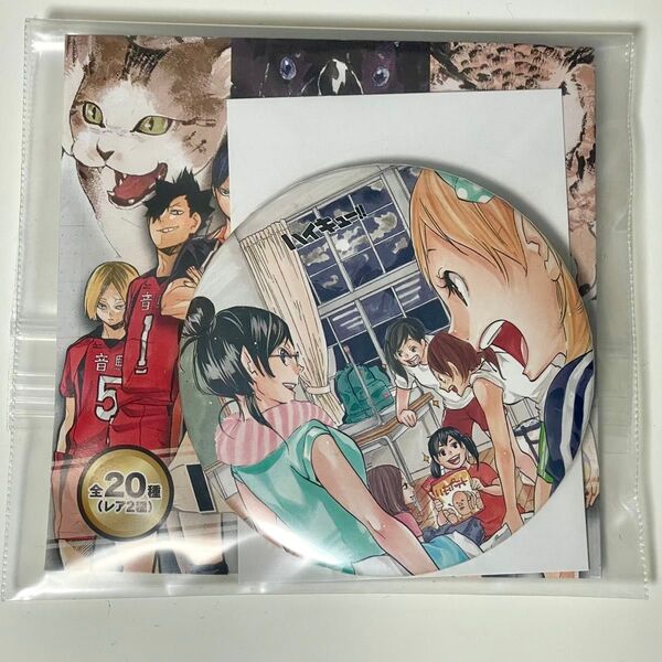 ハイキュー! コレクション缶バッジ 第3弾 マネージャー 谷地仁花 清水潔子