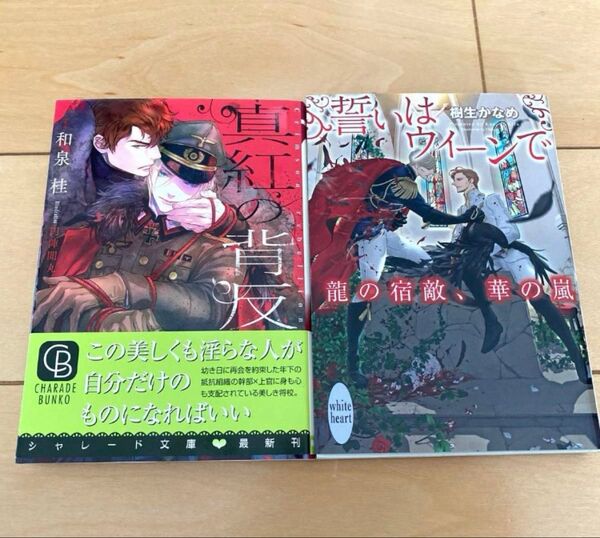 BL小説2冊 誓いはウィーンで龍の宿敵、華の嵐/真紅の背反