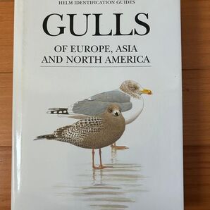 Gulls of Europe, Asia and North America 洋書 オールカラー