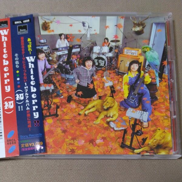 Whiteberry 【(初)】 中古 CD