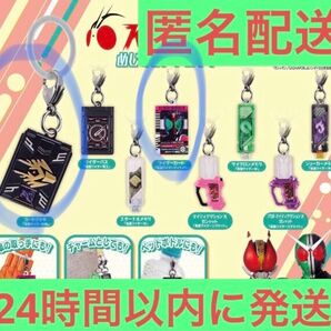仮面ライダー めじるしアクセサリー ディケイド 龍騎 2点セット