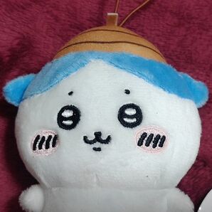 ハチワレ どんぐり帽子マスコット