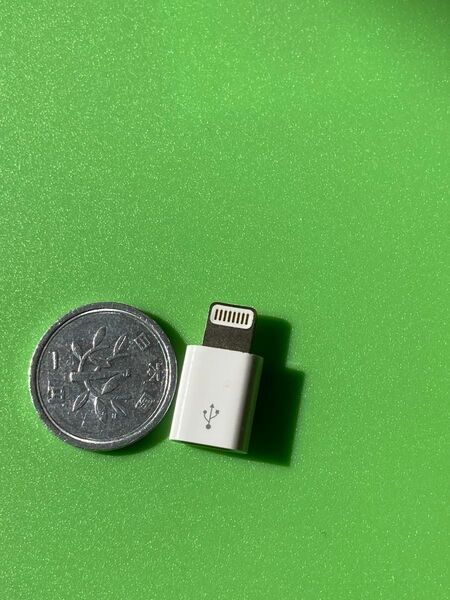 純正 Lightning MicroUSB 変換 急速充電とデータ伝送 Micro USB to Lightning 変換アダプタ