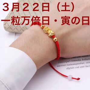開運・金運ブレスレット 3月22日(土)一粒万倍日×寅の日 祈願