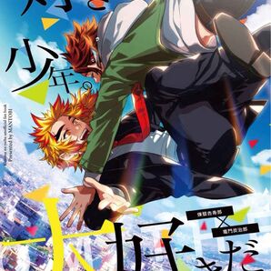 好きだ、少年。大好きだ