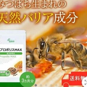 プロポリスMAX 天然のバリア成分 プロポリス 高麗人参 3ヶ月分