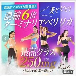 ターミナリアベリリカ ダイエット ブラックジンジャー エラグ酸 白いんげん ボディケア