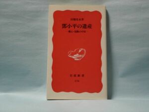 鄧小平の遺産 岩波新書 田畑光永