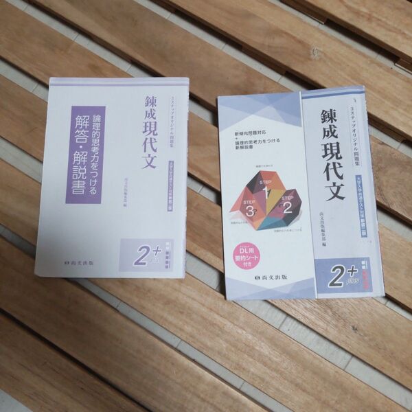 錬成現代文 錬成古典セット