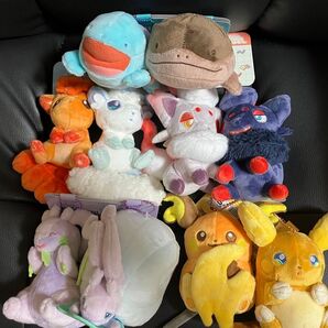 ポケモン 磁石でくっつくペアマスコット にたものどうし マスコット ライチュウ ロコン ゾロア ヌメルゴン ヌオー 5個セット