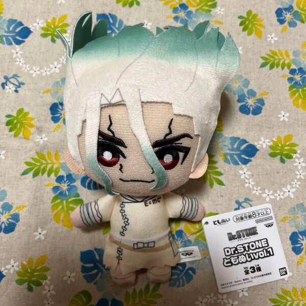 Dr.STONE 石神千空 ともぬい