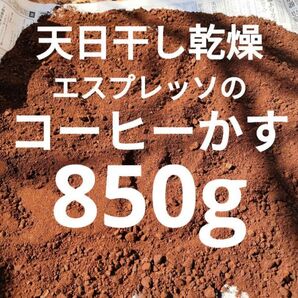 出がらし コーヒーかす 材料 消臭材 コーヒーカス 珈琲かす