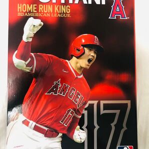 大谷翔平 2023年 アメリカンリーグ 初ホームランキングプレミアムポストカード未開封