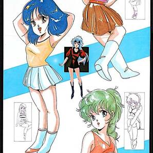 [Bottom price][Not Displayed New ][Delivery Free]1985 My Anime SP Pin Up Mega Zone23/Rio Akimoto メガゾーン23/秋本理央[tag2202]
