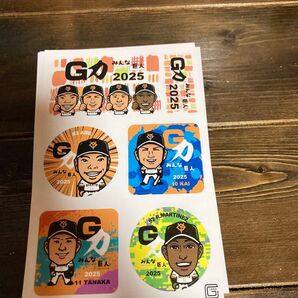 ジャイアンツ 宮崎キャンプステッカー