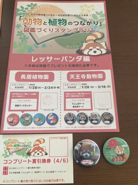 天王寺動物園・長居植物園スタンプラリー 缶バッチ レッサーパンダ編①