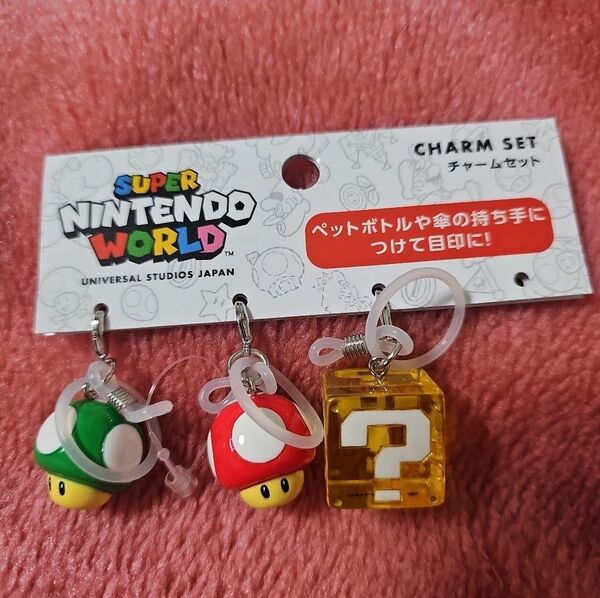 SUPER NINTENDO WORLD チャーム