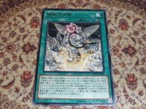 ◆◇遊戯王　CROS 煉獄の消華（レア）◇◆