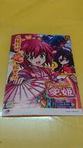 ☆送料安く発送します☆パチスロ　いろはに愛姫　☆小冊子・ガイドブック10冊以上で送料無料☆35_画像1