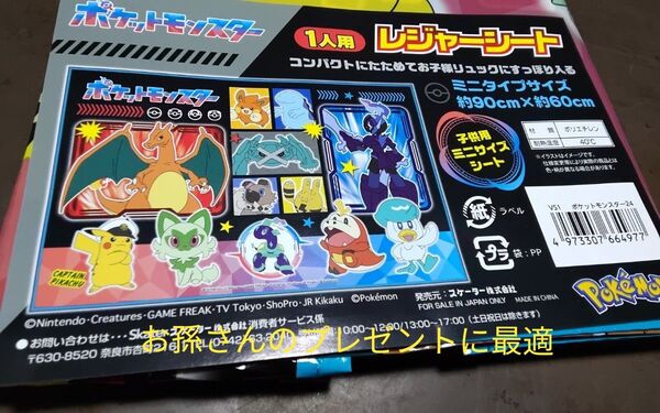 大人気のレジャーシート一人用S サイズ(60X90cm)お孫さんのプレゼント最高