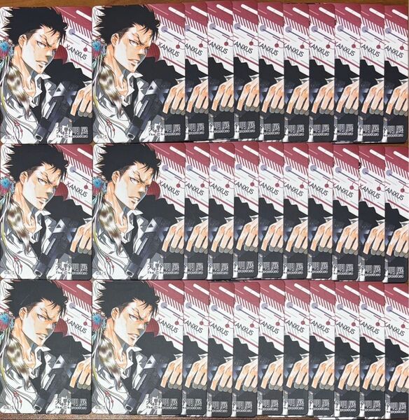 天野明展 家庭教師ヒットマンREBORN リボーン 原画展 マグネットステッカー ザンザス XANXUS