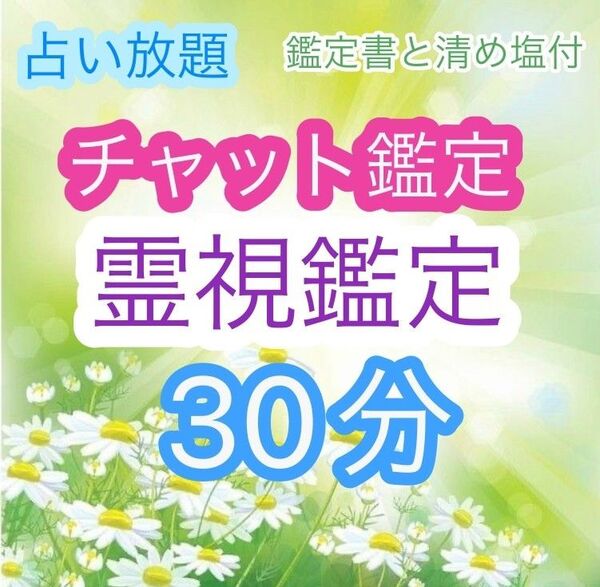 (19:00-22:30対応)占い放題 30分間 チャット鑑定占い 霊視鑑定 鑑定書発送