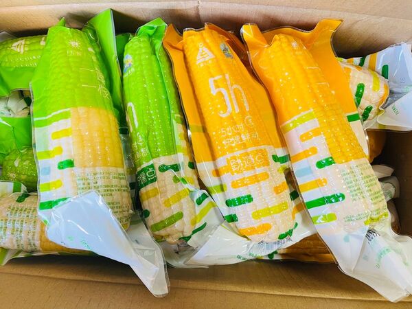 賞味期限更新★新入荷♪糯とうもろこし軸付き【黄20本と白20本】40本入り1ケース もち糯玉米棒 真空パック おやつ