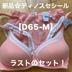 新品☆ディノスセシール ブラショーツ上下セット【D65-M】ワイヤレス ノンワイヤー ラストのセット!次回の入荷なし!