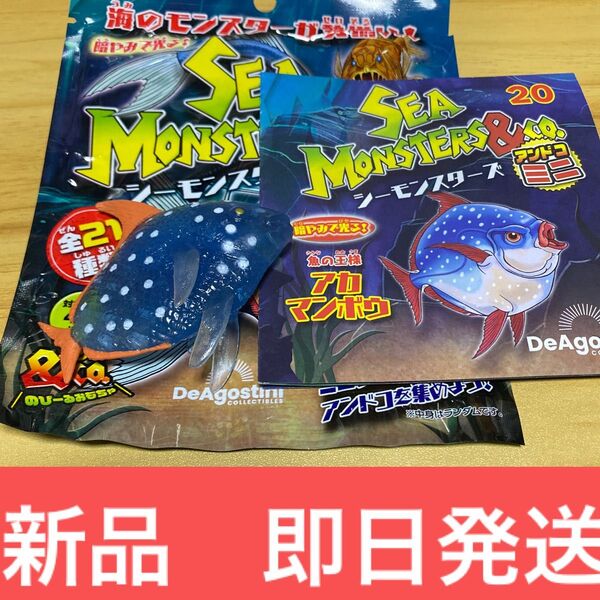 シーモンスターズ&co. アンドコミニ アカマンボウ