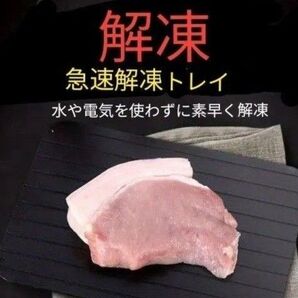 急速解凍トレイ 水や電気を使わず素早く解凍
