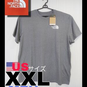 【新品未使用タグ付き】ノースフェイス グラフィックTシャツ マウンテンムーン 半袖グレー 【日本未発売】
