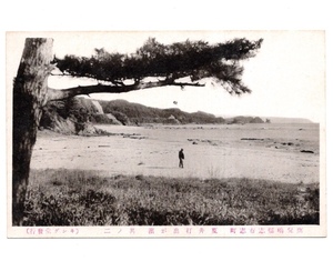 戦前 絵葉書 鹿児島県 志布志町 夏井打出が浜 其の二 風景