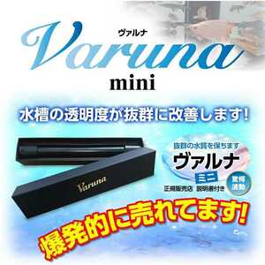 水槽の水質改善に！【ヴァルナミニ23センチ】有害物質を強力抑制！病原菌や感染症を防ぎ透明度が抜群に！水槽に入れるだけ！水替え不要に！