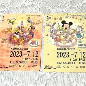 東京ディズニーリゾートライン限定デザインチケット リゾラ