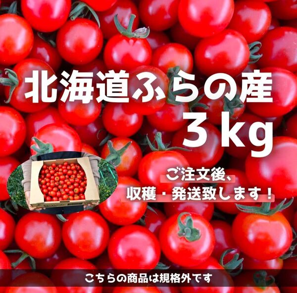 北海道ふらの産ミニトマト3kg【精品、訳あり混合】