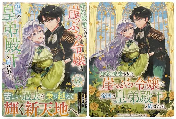 婚約破棄された崖っぷち令嬢は、帝国の皇弟殿下と結ばれる 3