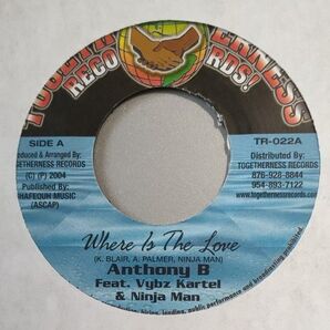 ANTHONY B ft VYBZ KARTEL & NINJAMAN レゲエ REGGAE レコード