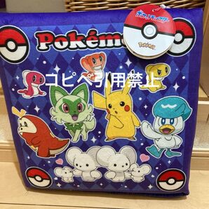 19時まで限定価格 ポケモン 学童クッション イッカネズミ 新品